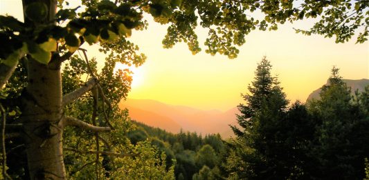 איך אנרגיה ירוקה מועילה לאיכות הסביבה בשנים הבאות?